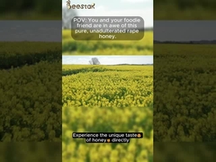 100% 순수한 원산 꿀 천연 강간 꿀 천연 벌꿀 첨가물 없이 건강 식품