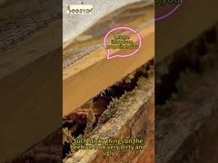 프로폴리스는 일상 건강 관리 및 컨디셔닝에 적합합니다. 그것은 