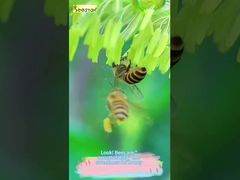 이 흐르는 질감을 보세요. 이것이 진정 자연의 