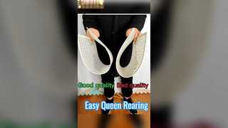 이식하지 않은 여왕벌 양육 시스템