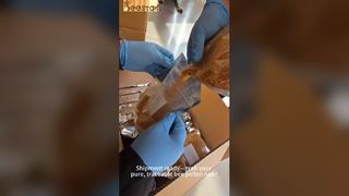 프리미엄 꿀벌 꽃가루: 샘플링, 추적성 및 공기가 통하지 않는 신선도