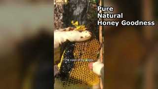 블랙 허니가 식료품 저장실을 위한 최고의 슈퍼푸드인 이유