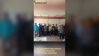 순수 생 꿀벌 꽃가루 과립 프리미엄 품질 슈퍼푸드