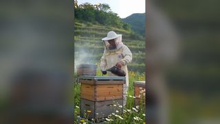순수 생 멀티 플라워 허니