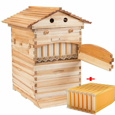 주문 Bee Star Langstroth Flow Hive Beehive 7개의 플라스틱 프레임이 있는 벌집 온라인 제품
