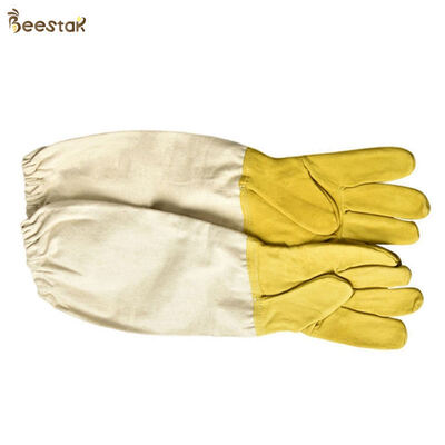 주문 Economic Sheepskin Beekeeping Gloves with Leather and Canvas in Yellow and White for Bee Protection 온라인 제품