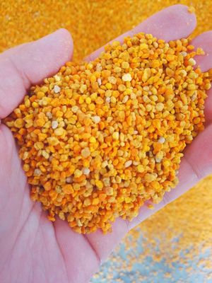 주문 Nutricion Big Granual로 가득 찬 혼합 신선한 생 꿀벌 꽃가루 온라인 제품