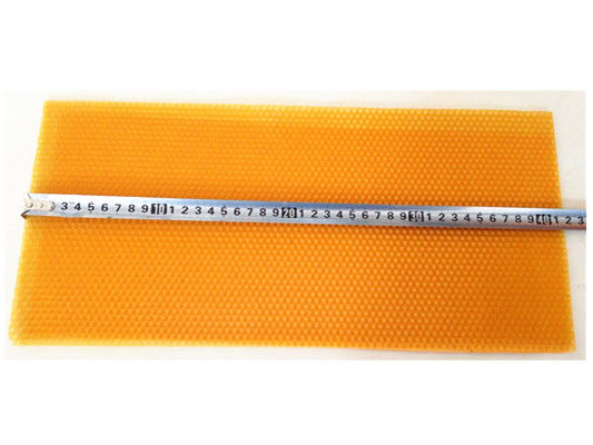283mm 까맣고와 노란 색깔의 넓은 플라스틱 기초 장 꿀벌 꿀벌통 장비