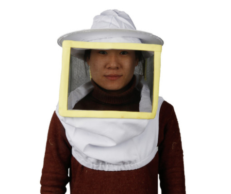 이름