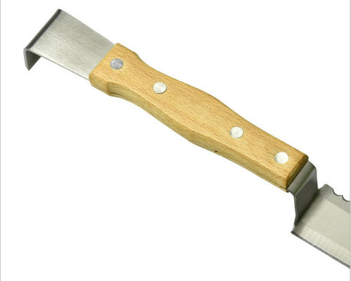 이름