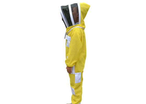 이름
