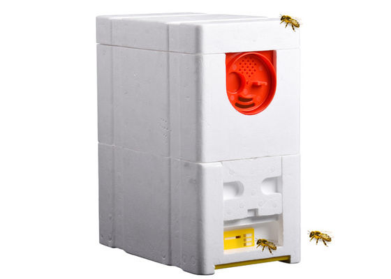 이름