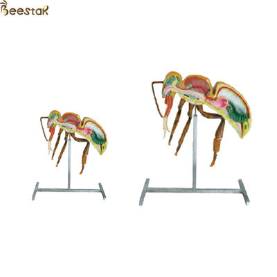이름